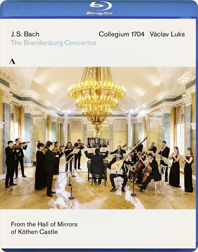 J.S.obn : ufuNt / @[ctENXARME1704 (J.S.Bach : Brandenburg Concertos 1-6 / Collegium 1704, V?clav Luks) [Blu-ray] [Import] [{сEt]